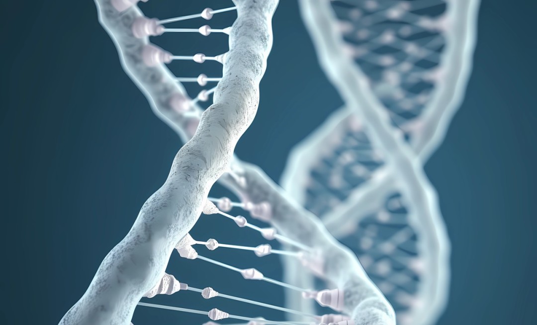 crop,h_653,w_1080,x_0,y_0